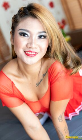 Baifern raises sheer top over small breasts raises short skirt showing shaved pussy